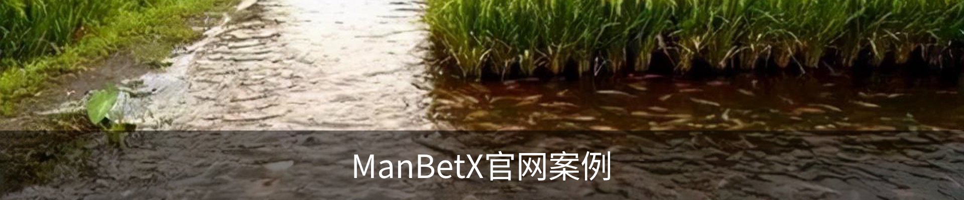 ManBetX官网案例
